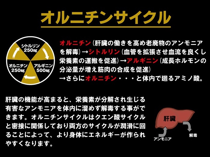 至上 送料無料 ポイント10倍 スーパーメダリスト9000 8袋入 お得な14箱セット fucoa.cl